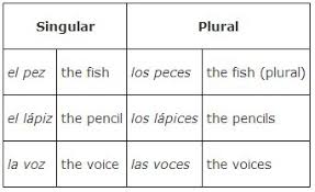 Number And Plurality