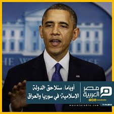 pin on مصر العربية نيوز