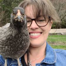 Hey Darlin Homestead