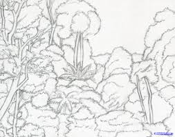 How To Draw A Rainforest Drawings Rainforest Animals Beautiful Scenery Drawing