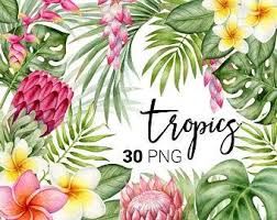 Maybe you would like to learn more about one of these? Watercolor Digital Floral Clipart Pink Purple Flowers Etsy Clip Art Watercolor Leaves Painted Leaves