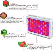 Maybe you would like to learn more about one of these? King Plus 1000w Double Chip Led Grow Light That S What Your Garden Needs