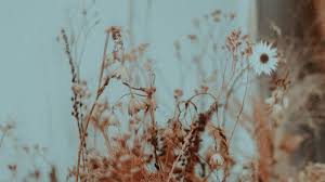 Itu semua materi tentang daftar lengkap nama benda di rumah dalam bahasa inggris dilengkapi gambar, arti dan cara pengucapannya. 25 Kata Kata Cinta Bahasa Inggris Yang Galau Dan Sedih 2021 Poskata