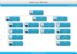 Company Org Chart Organizational Chart Flow Chart