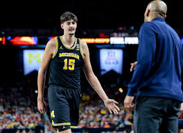 Aday Mara Height, Stats, and Impact on Michigan Basketball