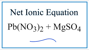 How To Write The Net Ionic Equation For Pb No3 2 Mgso4 Youtube