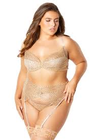 PLUS SIZE MYSTIQUE THREE PIECE BRA SET - Walmart.com
