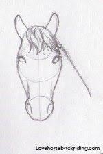Cartoon critters are easy to draw compared to realistic horses.you can make a cartoon do things that a real horse can't and you can really exaggerate the character of the animal. Create A Horse Head Drawing Easy To Follow Instructions Horse Pencil Drawing Horse Head Drawing Horse Drawing Tutorial