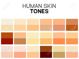 Skin Tone Color Palette Q House Pl