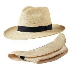 Packable Panama Hat Hats For Men Mens Summer Hats Summer Hats