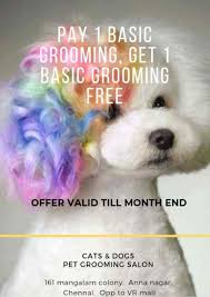 February 15 at 1:04 pm ·. Cats Dogs Pet Grooming Salon Anna Nagar Pet Grooming Services In Chennai Justdial