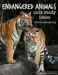 Endangered Animals Unit Study Ideas A Storybook Day Endangered Species Lessons Endangered Animals Lessons Endangered Animals