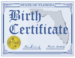 Because they are warm blooded and they don't lay eggs they give birth like us humans. How To Get A Birth Certificate In Florida Vwb Blog