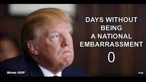 Daniel Nordin Baker (@dannybakerdubai)