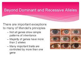 What does slippery refer to in genetics? Codominance Definition Simple