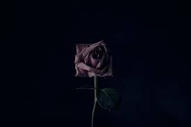We've gathered more than 5 million images uploaded by our users and sorted them by the most popular ones. Depression Wallpaper Kolpaper Awesome Free Hd Wallpapers