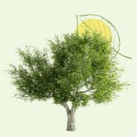 Avis de décès Hélène STEPHAN