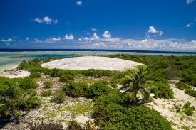 After multiple nuclear tests performed by the us military on marshall islands, a massive cactus dome was built. Muski Osnivanje Suknja Bikini Atoll Dome Herbandedi Org
