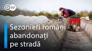 Agentia judeteana de ocupare a fortei de munca ofera un numar de joburi mai mic decat cel de zilele trecute si, in continuare, cu mult sub necesar. Sezonier Roman In Germania MuncÄ MultÄ Drepturi PuÅ£ine Economie Dw 03 05 2021