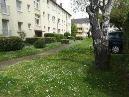 Als solche wird sie gerade auch genutzt. 3 Zimmer Wohnung Zum Verkauf Trittenheimer Str 6 50969 Koln Zollstock Mapio Net