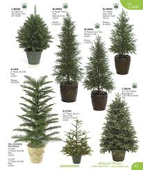Pin By Mark Adams On School Stuff Backyard Trees Evergreen Trees Landscaping Evergreen Landscape