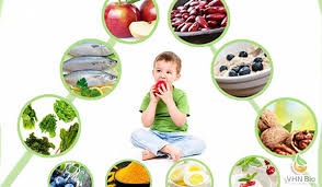 Hướng dẫn cách lựa chọn thực phẩm bổ sung vi chất dinh dưỡng giúp tăng  cường sức khỏe-Viện Dinh dưỡng VHN Bio