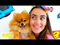 قصة كيف تبادل فلاد وأمي الحيوانات youtube corgi esp youtube