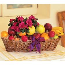 Check spelling or type a new query. Plant And Fruit Basket Design House Of Flowers In Buford Ga Delivering To Suwanee Flowery Branch Braselton Dacula Sugar Hill Auburn Lawrenceville Duluth All Of Gwinnett County Hall Counties Surrounding Cities