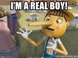 I M A Real Boy Pinocchio Shrek Meme Generator