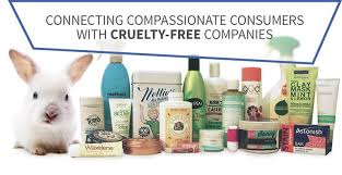 Leaping Bunny Leaping Bunny Cruelty Free Cruelty Free Beauty
