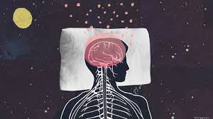 Is The Brain Still Capable of Learning During Sleep? The Debate Continues -  Advanced Brain Technologies