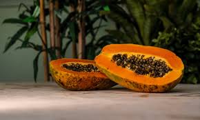 They grow best in full sun and are tolerant of a wide range of soils. The No Grow List California Tropical Fruit Tree Nursery