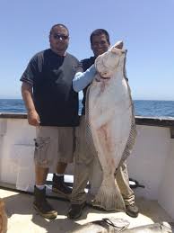 My friend and i first visited the luna sea and purchased some of their salmon and the fish deli. Halibut Fish Fishing Charter Recipe California Pacific