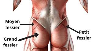 Exercice muscler fessier rapidement les meilleurs exercices pour muscler les fessiers. Exercice Fessier Mon Top 10 Exos 7 Erreurs A Eviter