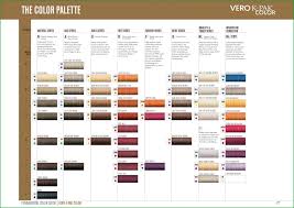 Expository Rusk Hair Color Swatch Hair Color Swatch Book 126