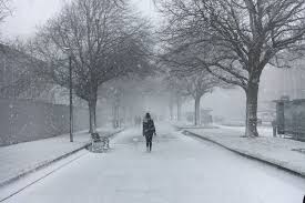 Winter wonderland: The prettiest places in Plymouth in the snow | Plymouth  Live