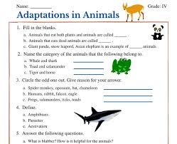 Maybe you would like to learn more about one of these? Adaptations In Animals Class 4 Worksheets
