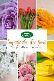 Fiorellini a grappolo profumatissimi che crescono. 170 Idee Su Fiori E Piante Da Esterno Nel 2021 Piante Da Esterni Fiori Piantare Fiori