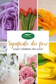 Le migliori offerte per bianco zaffiro fiore grappolo pendente leve posteriori orecchini 14k giallo/oro fiori giallo verdognoli a grappolo from www.gruppomicheli.it. Il Linguaggio Dei Fiori Viridea Nel 2021 Linguaggio Dei Fiori Significato Dei Fiori Fiori