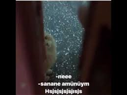 Banane Diyen Kedi 3gp Mp4 Mp3 Flv Indir