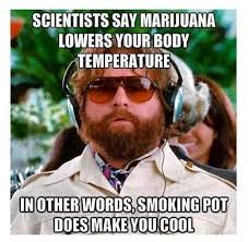 In Other Words Smoking Pot Does Make You Cool Justpost Virtually Entertaining