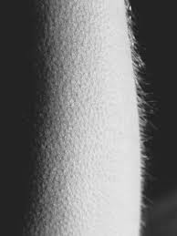Black And White Goosebumps Goosebumps Body Art Photography Human Body Photography Close Up Photography