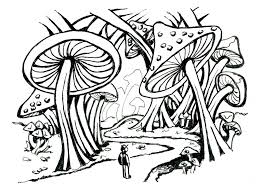 Entering The Mushroom Forest Doodlewash See more ideas about mushroom drawing, drawings, trippy mushrooms. entering the mushroom forest doodlewash