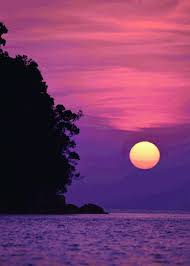 animated photo beautiful nature pictures sunset gif sunset images