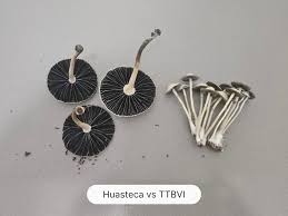 Image result for Pancovia holtzii