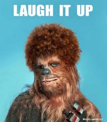 Starwars Starwarsdaily Chewbacca Funny Meme Lol Joke Wookiee Love Follow Girl Beautiful Nofilter Pho Star Wars Fine Art Star Wars Humor Star Wars