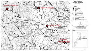 Image result for Crepidorhopalon involucratus