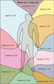 Earth Learning Idea New Eli Comparison Between The Chemistry Of The Human Body And The Earth Science Biology Teaching Chemistry Chemistry Lessons