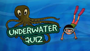 26,780 16 take it from me, you wanna be a mermaid this halloween! Underwater Quiz Fun Quizzes For Kids Mocomi