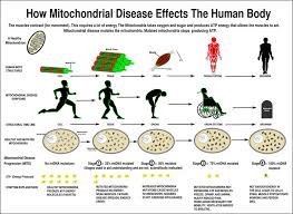 Why Parents Must Be Aware Of Mitochondrial Diseases